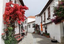 SÖMESTİR TATİLİ İÇİN ŞEHRE YAKIN ALTERNATİFLER