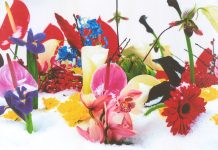 KURULUŞUNUN 20. YILINDA PERA MÜZESİ’NDEN YENİ SERGİLER