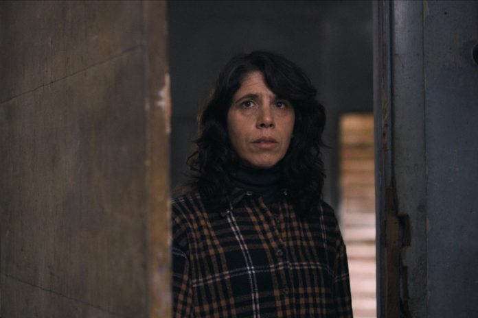 TAYFUN PİRSELİMOĞLU'NDAN SARSICI BİR ALEGORİ-İDEA