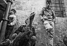 15. BURSA ULUSLARARASI FOTOĞRAF FESTİVALİ BAŞLIYOR