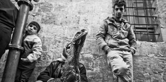 15. BURSA ULUSLARARASI FOTOĞRAF FESTİVALİ BAŞLIYOR