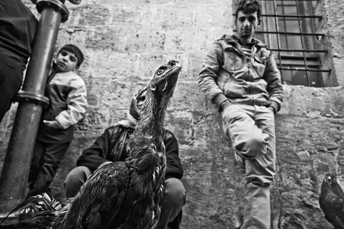 15. BURSA ULUSLARARASI FOTOĞRAF FESTİVALİ BAŞLIYOR