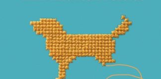 DERİN DUYGULARIN MİZAHİ ROMANI: “BİTİRİŞLER”