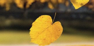 İSTANBUL’UN HAFIZASINA DOKUNAN BİR ROMAN: “BELKİ BİRİMİZ”