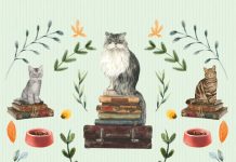 ÖZEL BİR DERLEME: “KEDİ ÖYKÜLERİ”