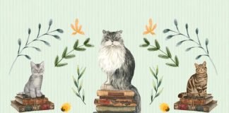 ÖZEL BİR DERLEME: “KEDİ ÖYKÜLERİ”