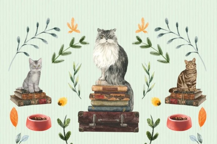 ÖZEL BİR DERLEME-KEDİ ÖYKÜLERİ