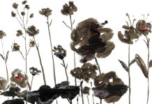 SELÇUK DEMİREL’DEN BİR VAROLUŞ ANLATISI: “GÖKYÜZÜYLE YÜZ YÜZE”