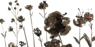 SELÇUK DEMİREL’DEN BİR VAROLUŞ ANLATISI: “GÖKYÜZÜYLE YÜZ YÜZE”