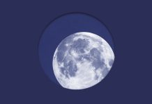 BELLEK ÜZERİNE EDEBÎ BİR ARŞİV: “KAYDA GEÇEN KAYIPLAR”