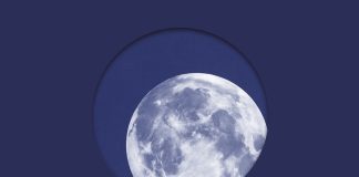 BELLEK ÜZERİNE EDEBÎ BİR ARŞİV: “KAYDA GEÇEN KAYIPLAR”