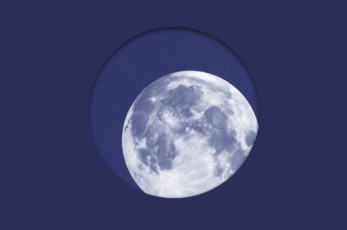 BELLEK ÜZERİNE EDEBÎ BİR ARŞİV-KAYDA GEÇEN KAYIPLAR