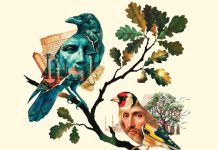 BİGE GÜVEN KIZILAY’DAN YENİ ROMAN: “SAKLI ZAMAN BAHÇELERİ”