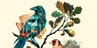 BİGE GÜVEN KIZILAY’DAN YENİ ROMAN: “SAKLI ZAMAN BAHÇELERİ”