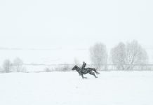 “KAR: BİR HİKÂYENİN İLK CÜMLESİ” SERGİSİ YAPI KREDİ BOMONTİADA’DA