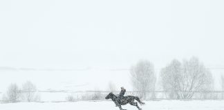 “KAR: BİR HİKÂYENİN İLK CÜMLESİ” SERGİSİ YAPI KREDİ BOMONTİADA’DA