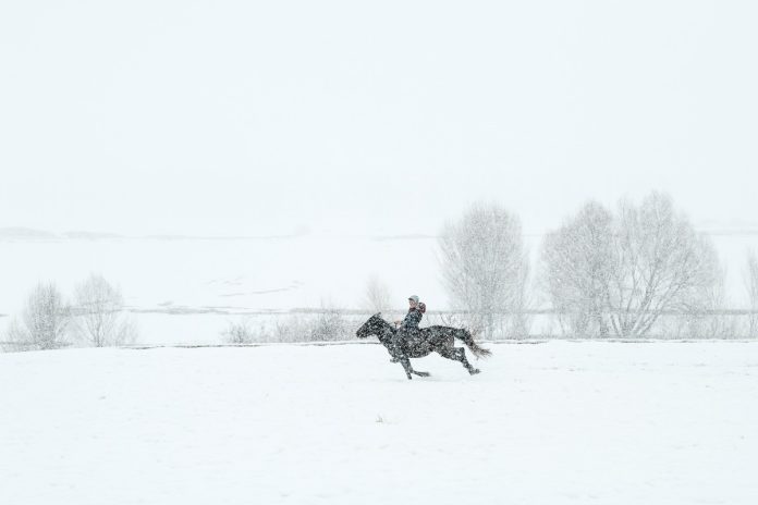 KAR-BİR HİKÂYENİN İLK CÜMLESİ SERGİSİ YAPI KREDİ BOMONTİADA'DA-