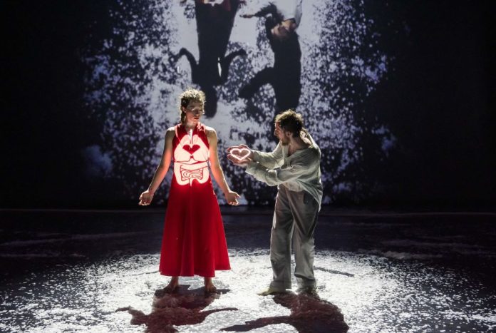 JASMIN VARDIMON COMPANY İLK KEZ İSTANBUL’A GELİYOR