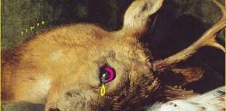 JOY WILLIAMS’IN KÜLT ROMANI “DİĞER ÇOCUK” TÜRKÇEDE