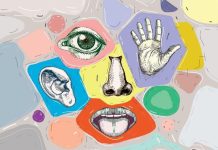 ALGILARIN OLUŞUMUNA DAİR BİR ÇALIŞMA: “BEŞ DUYU VE ÖTESİ”