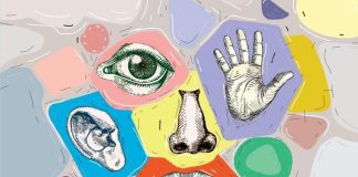 ALGILARIN OLUŞUMUNA DAİR BİR ÇALIŞMA: “BEŞ DUYU VE ÖTESİ”