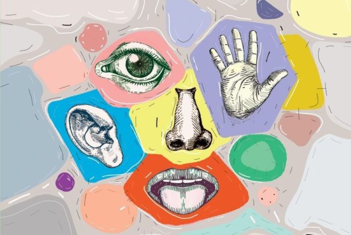 ALGILARIN OLUŞUMUNA DAİR BİR ÇALIŞMA: "BEŞ DUYU VE ÖTESİ"