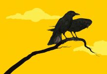 MEHTAP CEYRAN’DAN YENİ ROMAN: “DÖNÜŞ”