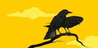 MEHTAP CEYRAN’DAN YENİ ROMAN: “DÖNÜŞ”