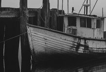 ROY JAKOPSEN’DEN “YALNIZ BİR ANNE”