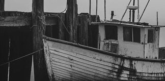 ROY JAKOPSEN’DEN “YALNIZ BİR ANNE”