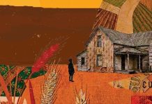 SIRADANIN ÖTESİNDE BİR DENEYİM: “ARPA TARLASI”