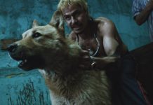 “PARAMPARÇA AŞKLAR KÖPEKLER” 4K SUNUMUYLA MUBI’DE paramparça aşklar ve köpekler 10 temmuz'da mubi'de