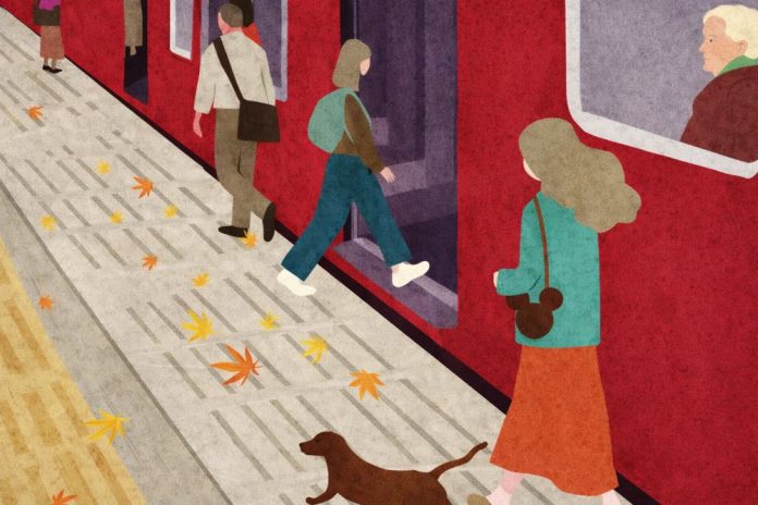ZARİF VE İYİLEŞTİRİCİ BİR ROMAN-HANKYU TRENİ YOLCULARI Hiro Arikawa - Hankyu Treni Yolcuları