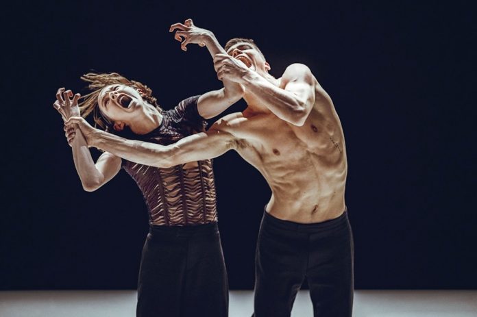 30. İSTANBUL TİYATRO FESTİVALİ PERDELERİNİ AÇIYOR istanbul tiyatro festivali - Nederlands Dans Theater’ın NDT 2