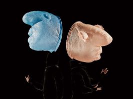 MUMMENSCHANZ “50 YEARS” İLE İSTANBUL’DA Mummenschanz – 50 Years Paribu Art Ana Sahne'de