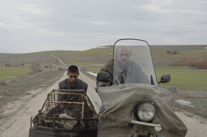 TAVŞAN İMPARATORLUĞU, MUBI Türkiye'de sinemaseverlerle buluşuyor.